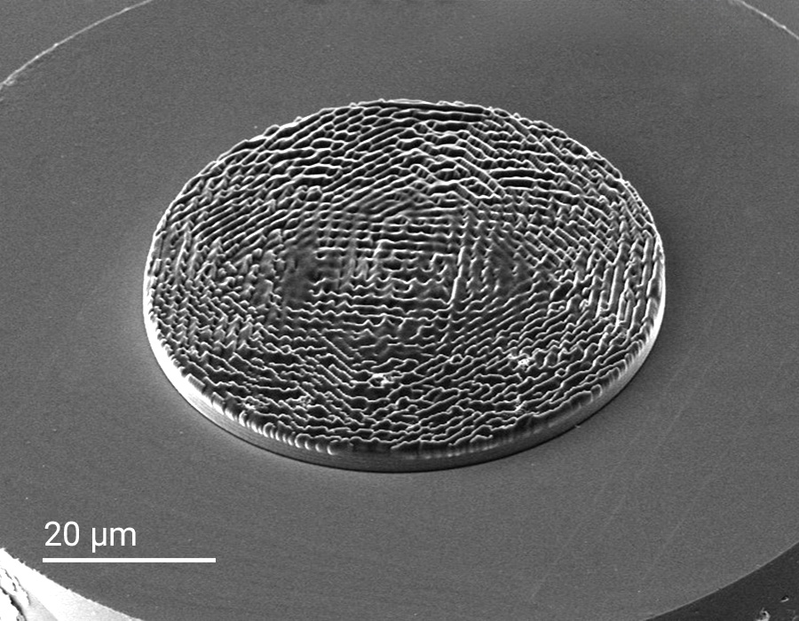 利用双光子聚合技术在光纤面上微纳加工的复杂三维多焦点全息图的SEM图像 