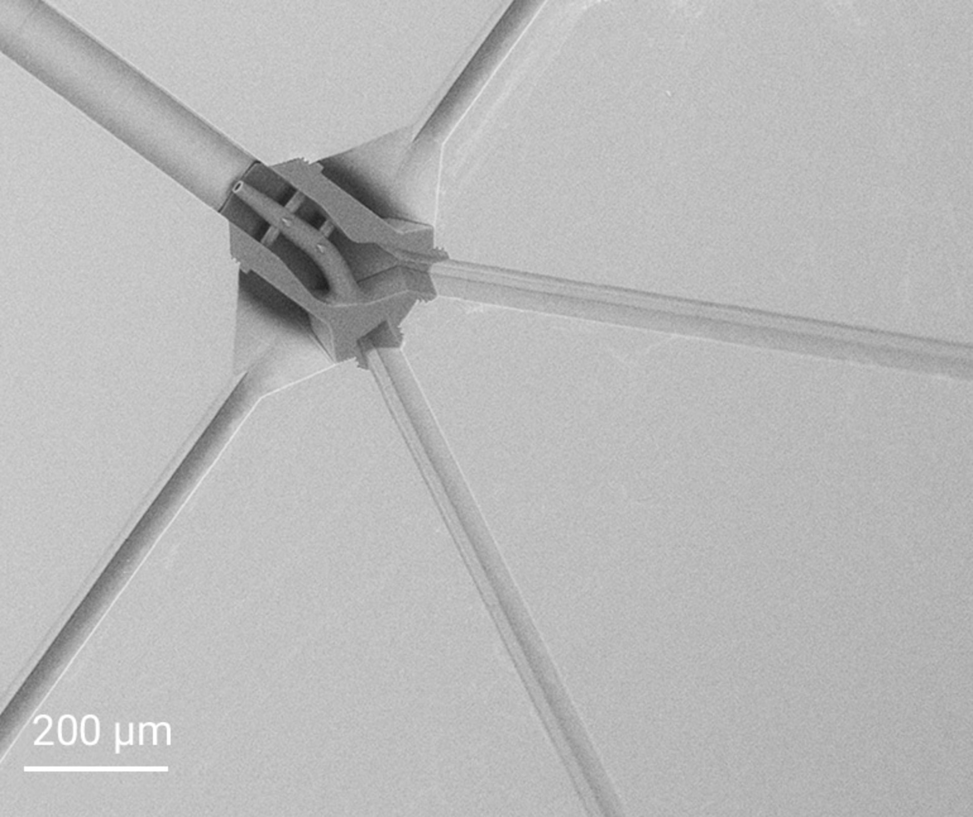 Embedded spinneret directly 3D-printed into a microfluidic channel system. 